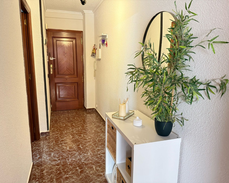 Segunda mano - Apartamento / piso - Guardamar del Segura - Centro