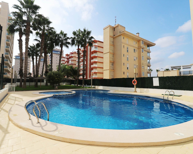 Sale - Apartment / flat - Guardamar del Segura - SUP 7