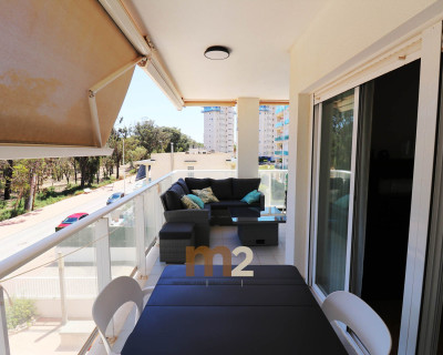 Sale - Apartment / flat - Guardamar del Segura - SUP 7