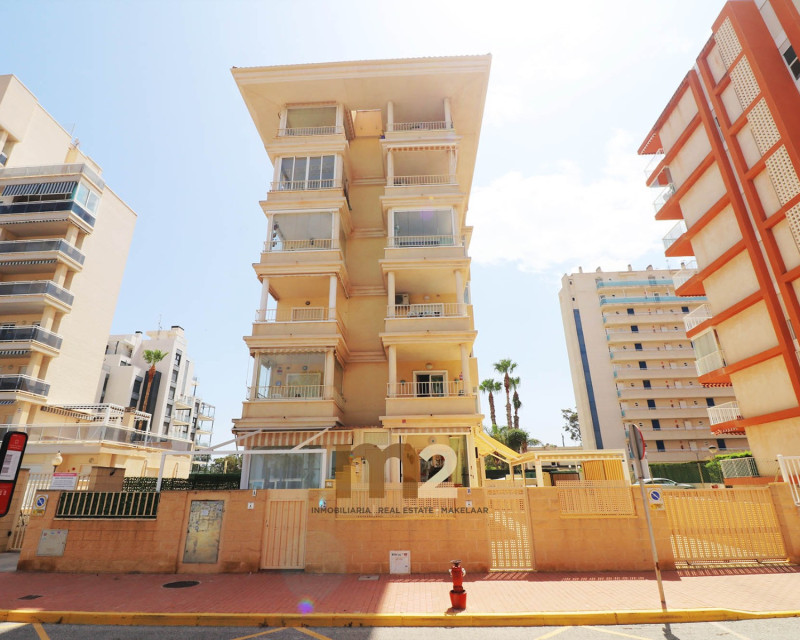 Alquiler a largo plazo - Apartamento / piso - Guardamar del Segura - SUP 7