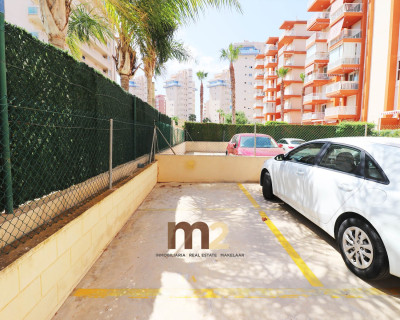 Alquiler a largo plazo - Apartamento / piso - Guardamar del Segura - SUP 7