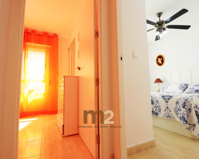 Alquiler a largo plazo - Apartamento / piso - Guardamar del Segura - Mercadona