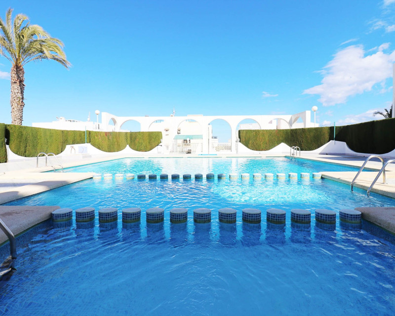 Lang termijn verhuur - Appartement / flat - Torrevieja - Torrelamata - La Mata