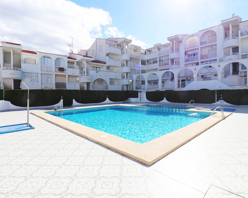 Lang termijn verhuur - Appartement / flat - Torrevieja - Torrelamata - La Mata