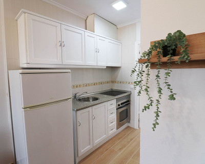 Lang termijn verhuur - Appartement / flat - Torrevieja - Torrelamata - La Mata