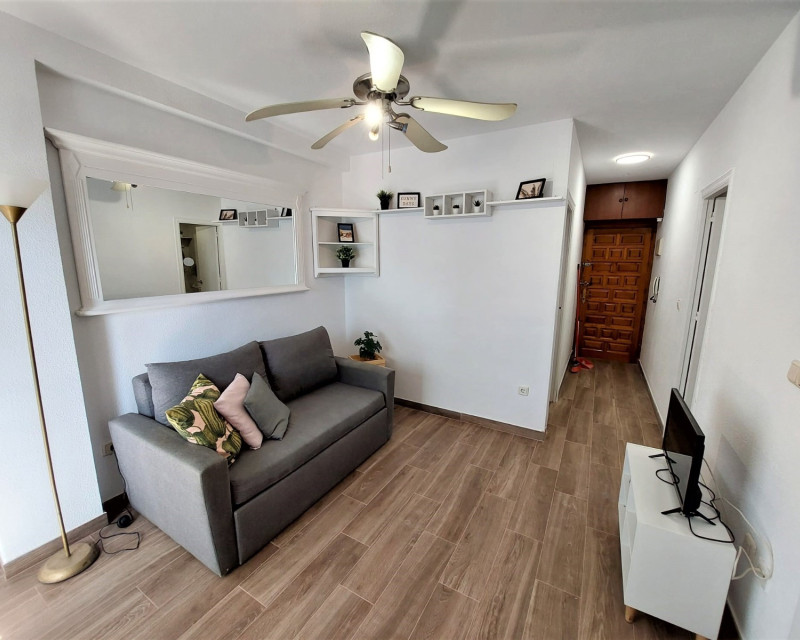 Lang termijn verhuur - Appartement / flat - Torrevieja - Torrelamata - La Mata