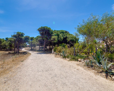 Sale - Apartment / flat - Guardamar del Segura - Urb. Pinomar