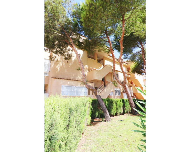 Alquiler a largo plazo - Apartamento / piso - Guardamar del Segura - Guardamar Playa