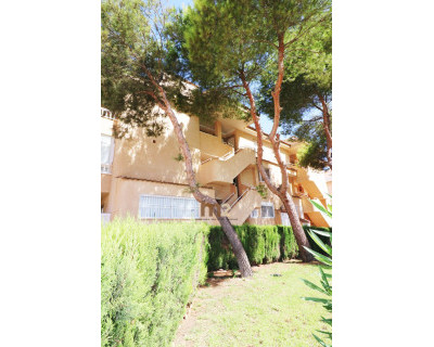 Alquiler a largo plazo - Apartamento / piso - Guardamar del Segura - Guardamar Playa
