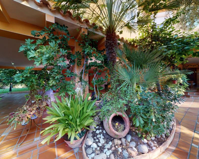 Segunda mano - Chalet - Orihuela Costa - Cabo roig - La Zenia