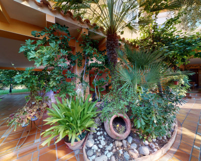 Segunda mano - Chalet - Orihuela Costa - Cabo roig - La Zenia