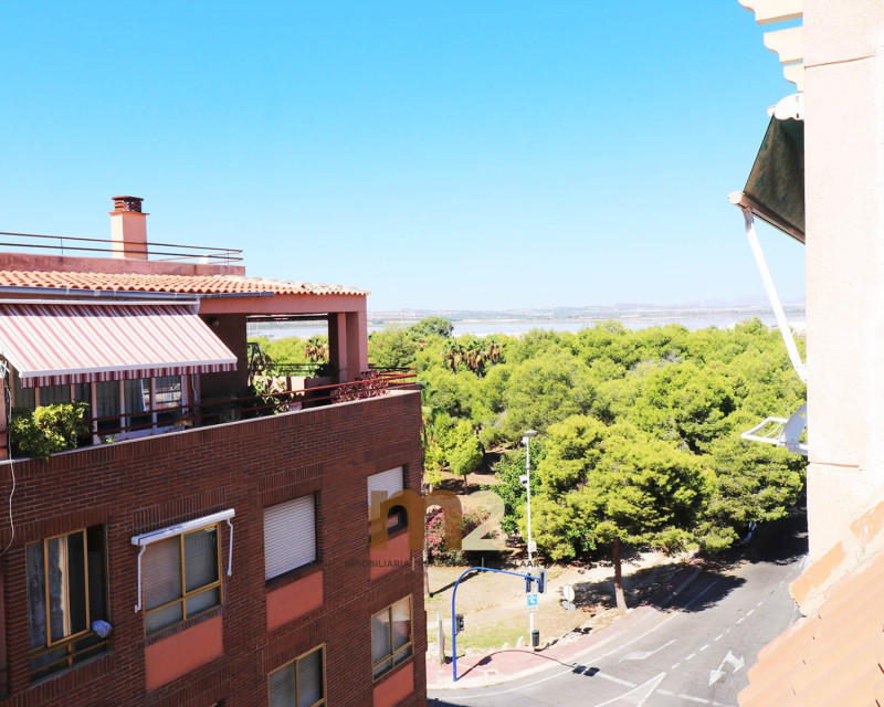 Segunda mano - Apartamento / piso - Torrevieja - El Acequión - Los Náufragos