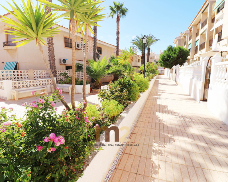 Long time Rental - Apartment / flat - Guardamar del Segura - Guardamar Playa