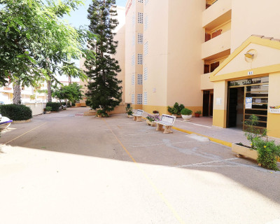 Herverkoop - Appartement / flat - Guardamar del Segura - Mercadona