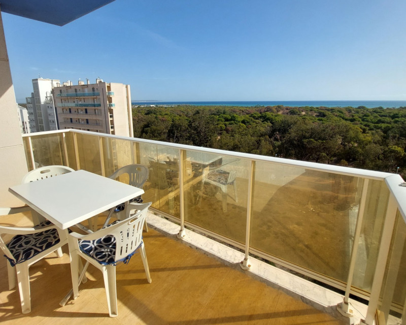 Herverkoop - Appartement / flat - Guardamar del Segura - SUP 7