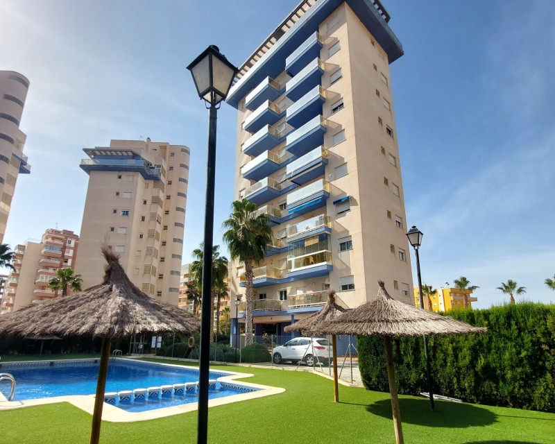 Alquiler a largo plazo - Apartamento / piso - Guardamar del Segura - SUP 7