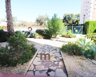 Alquiler a largo plazo - Apartamento / piso - Guardamar del Segura - SUP 7