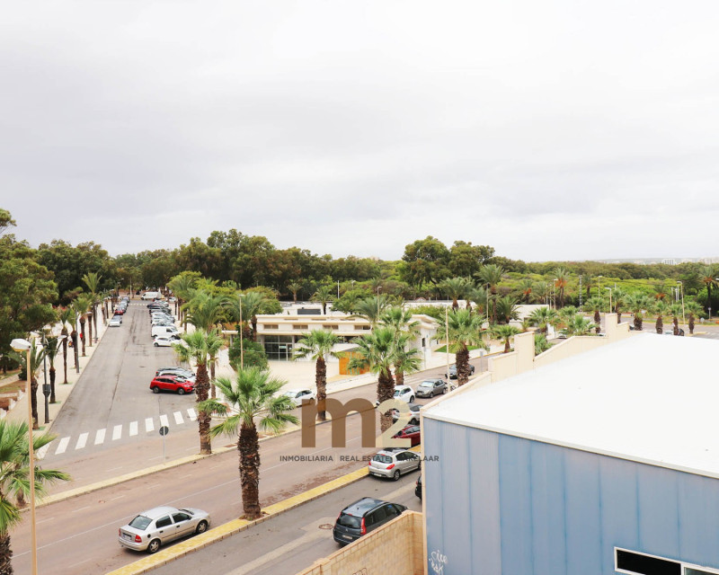 Long time Rental - Apartment / flat - Guardamar del Segura - Guardamar Playa