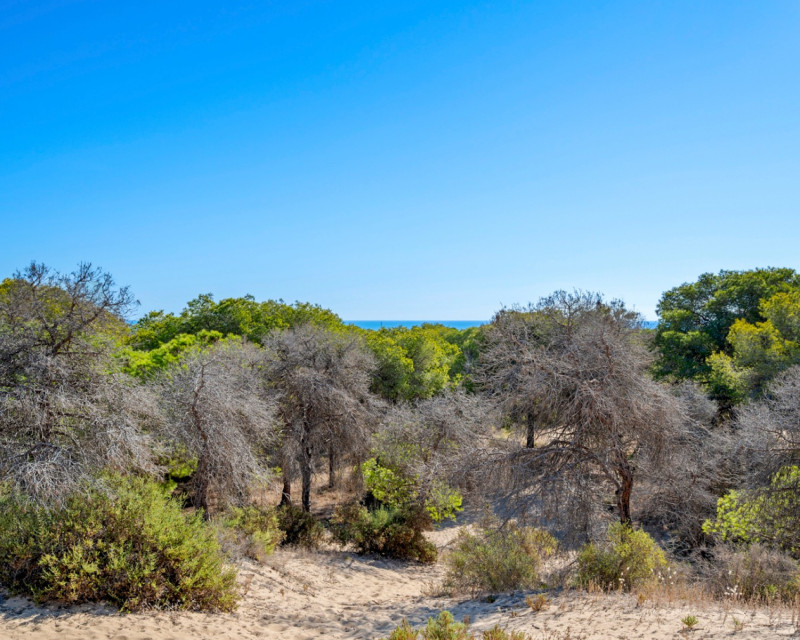 Herverkoop - Appartement / flat - Guardamar del Segura - Centrum