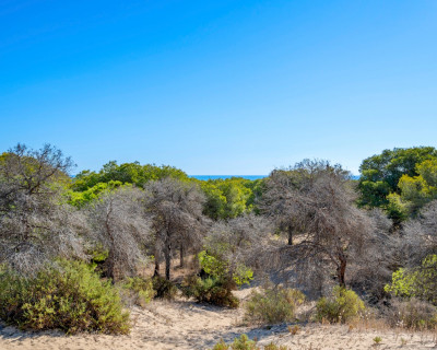 Herverkoop - Appartement / flat - Guardamar del Segura - Centrum