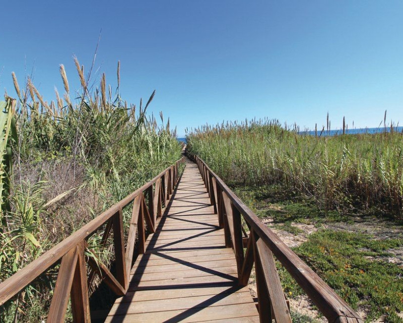 Sale - Penthouse - Guardamar del Segura - Campomar