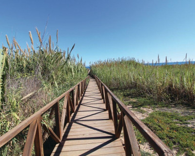 Sale - Penthouse - Guardamar del Segura - Campomar