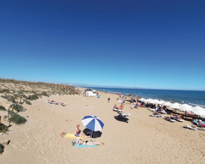 Sale - Penthouse - Guardamar del Segura - Campomar