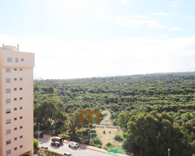 Segunda mano - Ático - Guardamar del Segura - Puerto