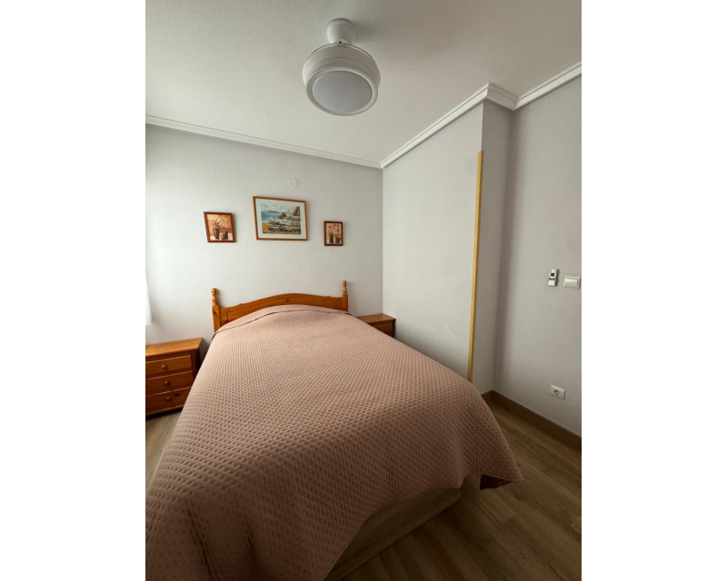 Alquiler a largo plazo - Apartamento / piso - Guardamar del Segura - Centro