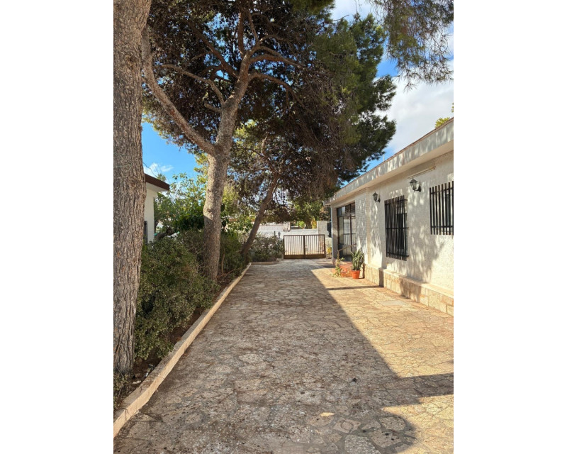 Sale - Chalet - Torrevieja - Nueva Torrevieja - Aguas Nuevas