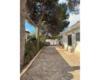 Sale - Chalet - Torrevieja - Nueva Torrevieja - Aguas Nuevas