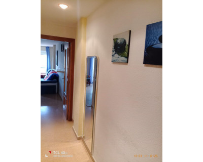 Herverkoop - Appartement / flat - Guardamar del Segura - Guardamar Playa