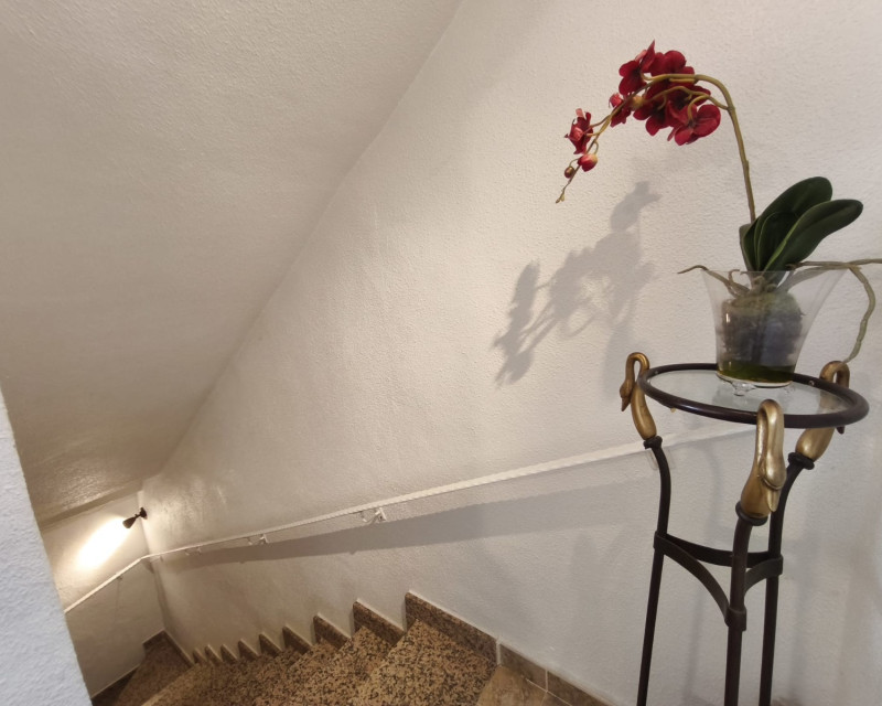 Herverkoop - Huis - Guardamar del Segura - Urb. Pinomar