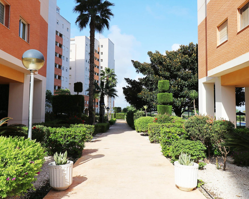 Herverkoop - Appartement / flat - Guardamar del Segura - SUP 7