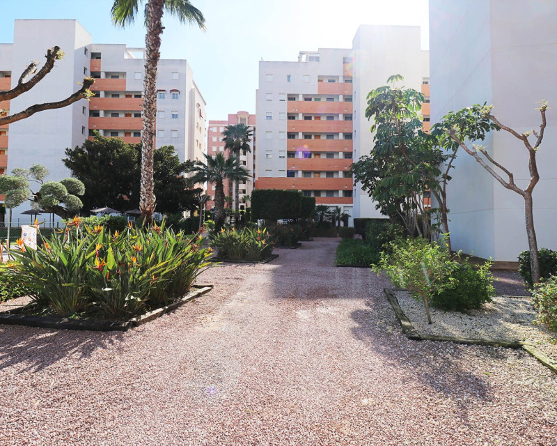 Herverkoop - Appartement / flat - Guardamar del Segura - SUP 7