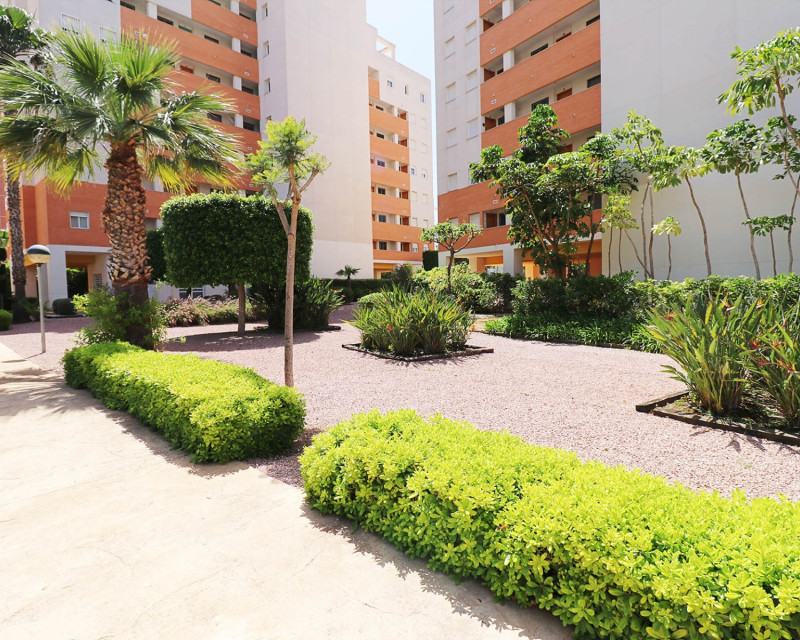 Herverkoop - Appartement / flat - Guardamar del Segura - SUP 7