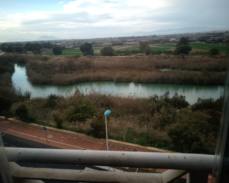 Alquiler a largo plazo - Apartamento / piso - Guardamar del Segura - SUP 7