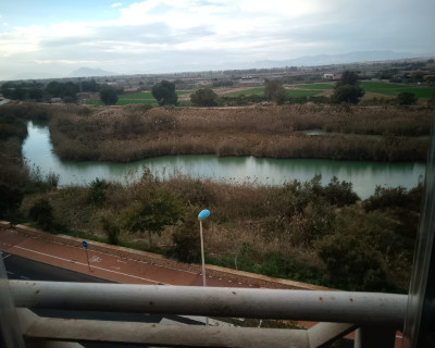 Alquiler a largo plazo - Apartamento / piso - Guardamar del Segura - SUP 7