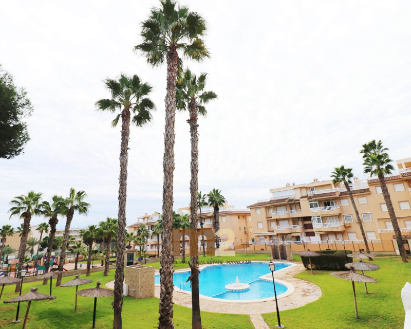 Long time Rental - Bungalow - Guardamar del Segura - Guardamar Playa