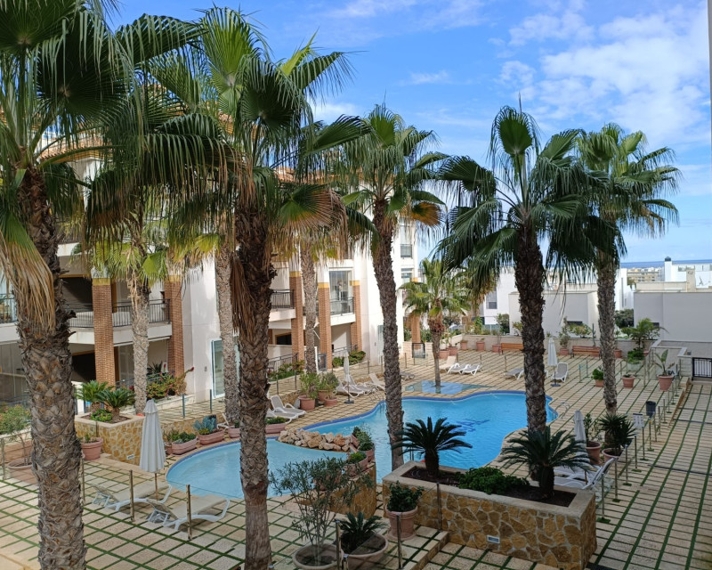 Segunda mano - Apartamento / piso - Guardamar del Segura - Guardamar Hills