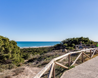 Alquiler a largo plazo - Apartamento / piso - Guardamar del Segura - Mercadona