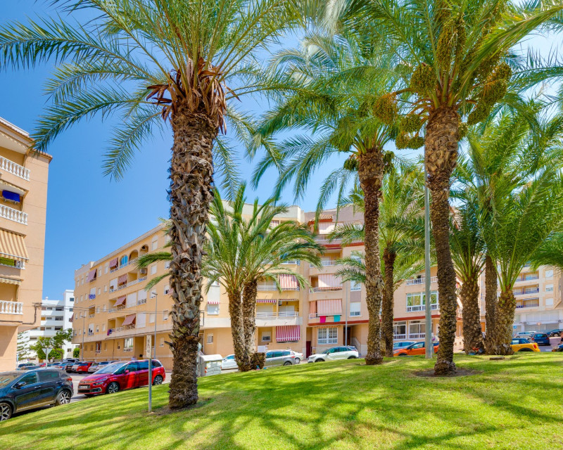 Alquiler a largo plazo - Apartamento / piso - Guardamar del Segura - Mercadona