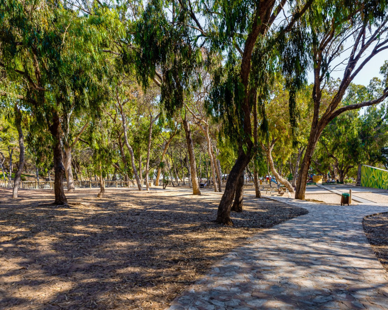 Alquiler a largo plazo - Apartamento / piso - Guardamar del Segura - Mercadona