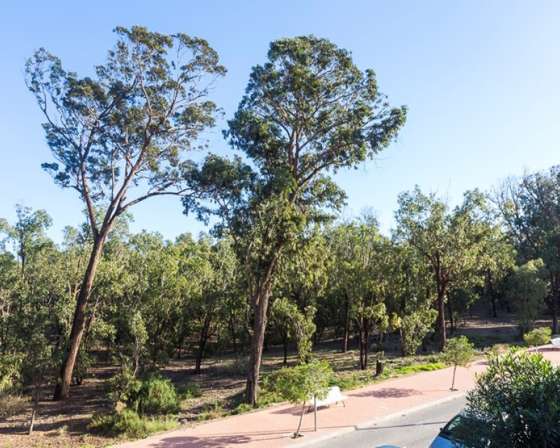 Sale - Bungalow - Guardamar del Segura - SUP 7