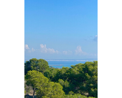 Obra nueva - Apartamento / piso - Guardamar del Segura - Centro