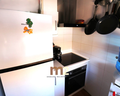 Segunda mano - Apartamento / piso - Guardamar del Segura - Puerto