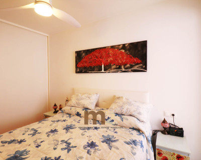 Segunda mano - Apartamento / piso - Guardamar del Segura - Puerto