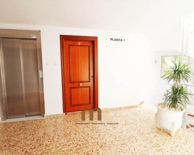 Segunda mano - Apartamento / piso - Guardamar del Segura - Guardamar Playa