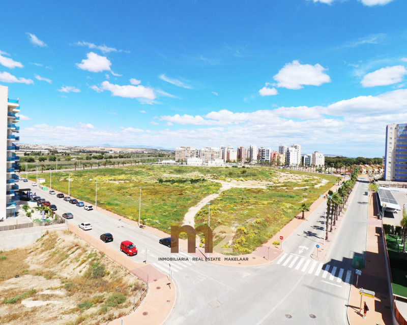 Segunda mano - Apartamento / piso - Guardamar del Segura - SUP 7