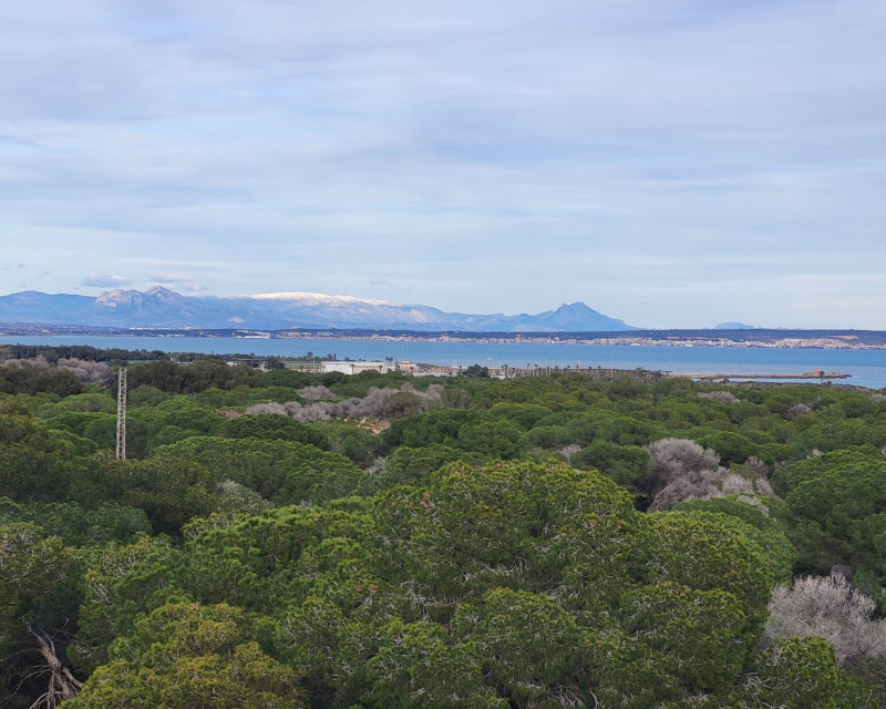 Sale - Penthouse - Guardamar del Segura - SUP 7